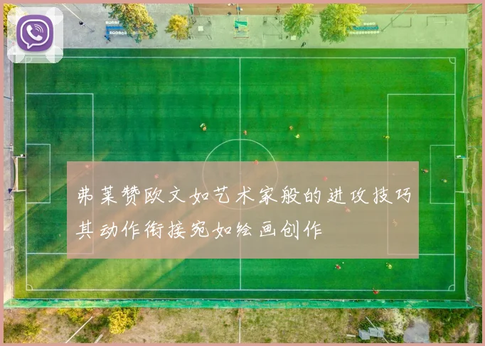 弗莱赞欧文如艺术家般的进攻技巧其动作衔接宛如绘画创作