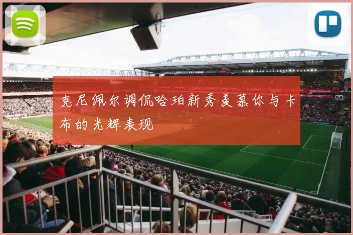 克尼佩尔调侃哈珀新秀羡慕你与卡布的光辉表现